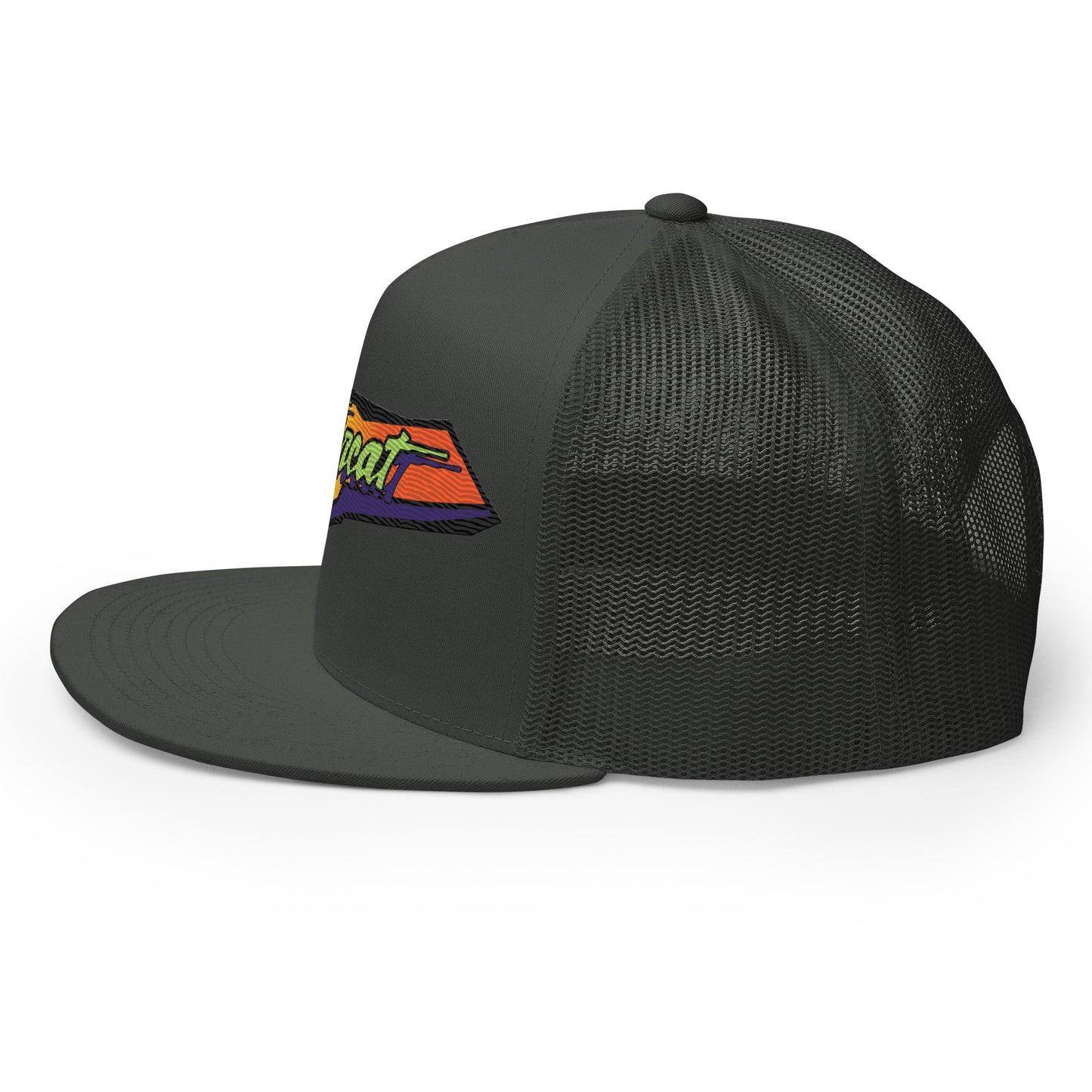 1998 Thundercat Hood Flat Trucker Cap