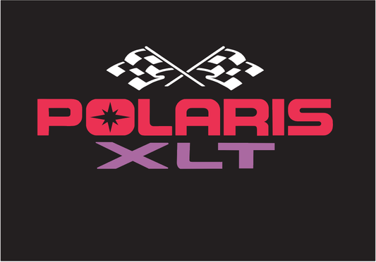 1995 XLT Special Heat Transfer Seat Decal Set